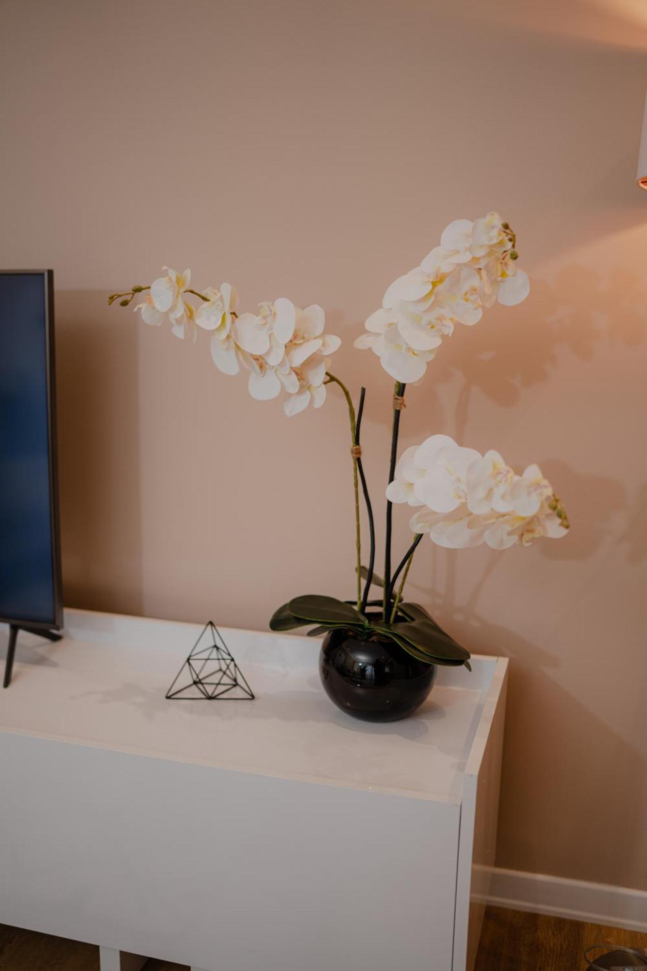 Lake Drive Rooms&Apartments Tirana Bagian luar foto